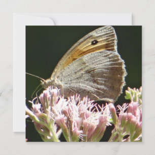 tarjeta plana de bonito de mariposa grande