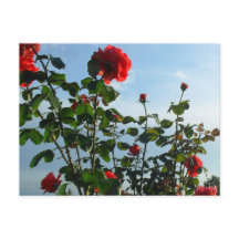 tarjeta plana de cumpleaños