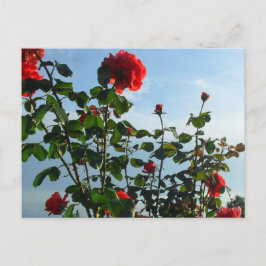 tarjeta plana de cumpleaños