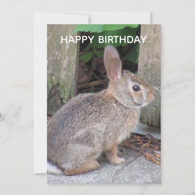 Tarjeta plana de cumpleaños con foto de conejo lin (Anverso)