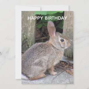 Tarjeta plana de cumpleaños con foto de conejo lin