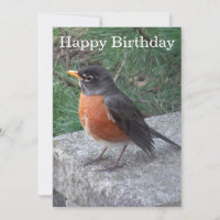 Tarjeta plana de cumpleaños Robin Photo de bonito
