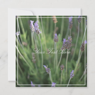 Tarjeta plana de flores de lavanda hermosas