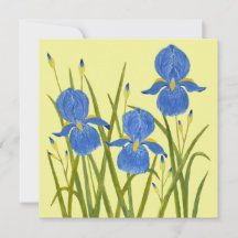 Tarjeta plana de flores de lirios azules