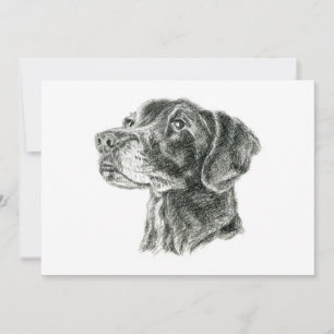 Tarjeta plana de Labrador negro