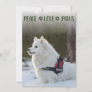 Tarjeta plana de Navidad con foto de perro