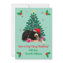 Tarjeta plana de Navidad con foto de perro con som