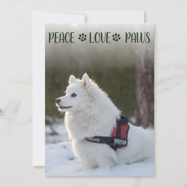 Tarjeta plana de Navidades de fotografía de perro (Anverso)