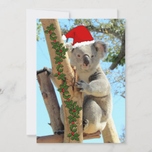 Tarjeta plana de Navidades Koala
