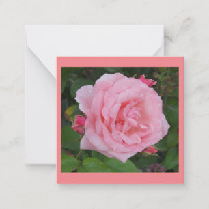 Tarjeta plana de nota de rosa rosa clásica