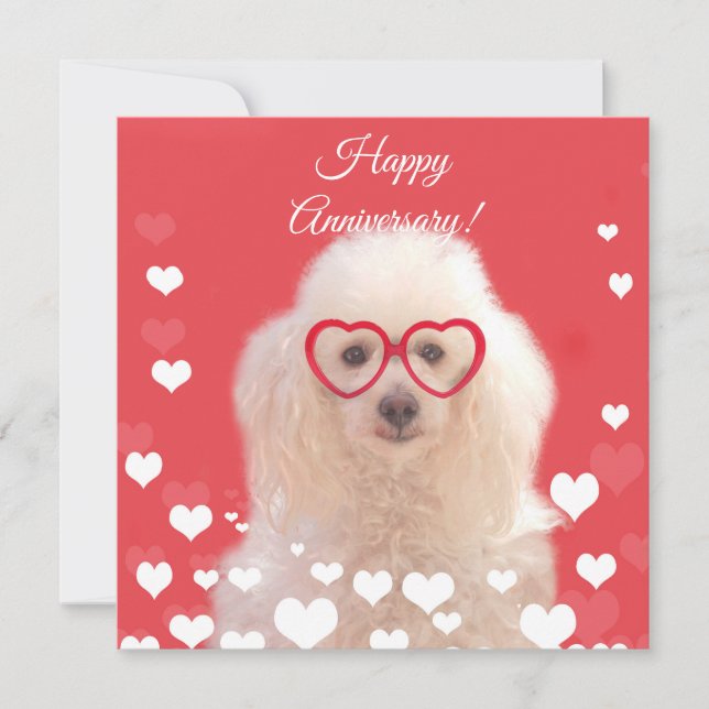 Tarjeta plana de perro canino de Poodle Feliz Aniv (Anverso)