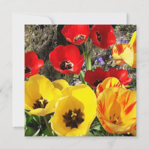 Tarjeta plana de tulipanes amarillos y rojos