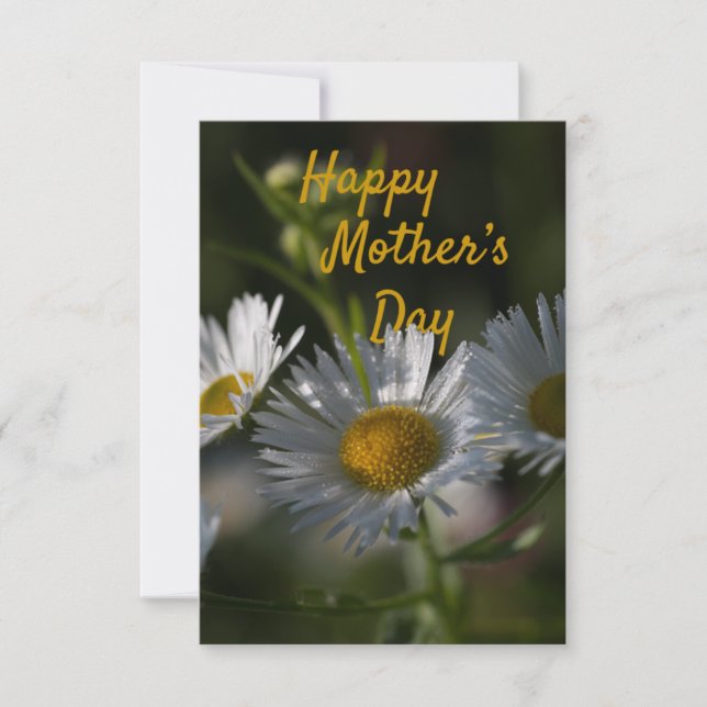 Tarjeta plana del Día de la Madre-Daisy (Anverso)