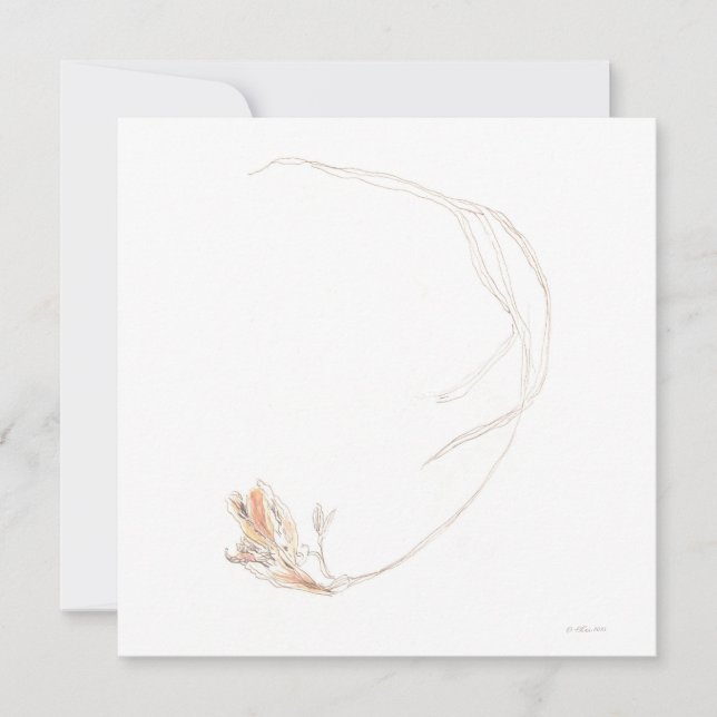 Tarjeta plana Dried Freesia 1 (Anverso)