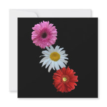 Tarjeta plana floral mixta colorida de margarita