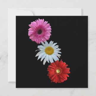 Tarjeta plana floral mixta colorida de margarita