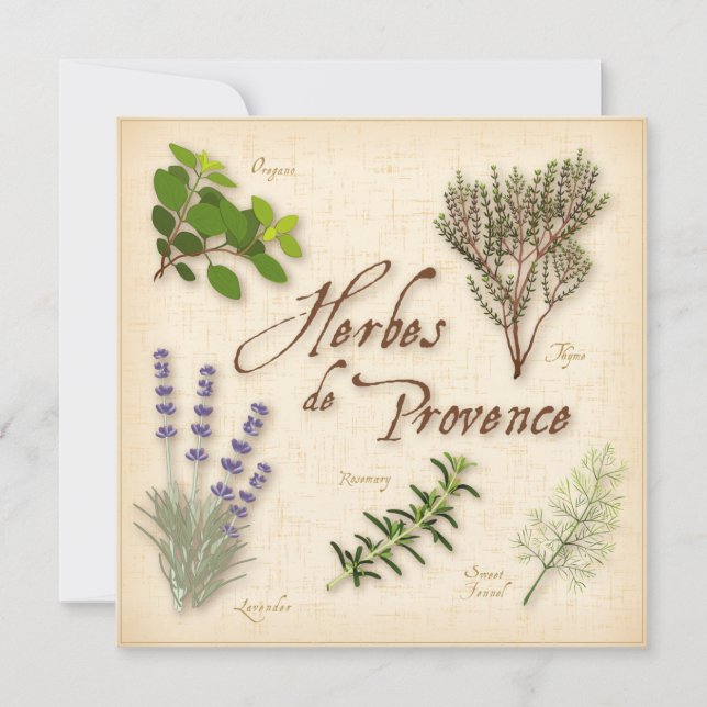 Tarjeta plana Herbes de Provence (Anverso)