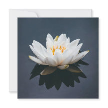 TARJETA PLANA : LOTUS