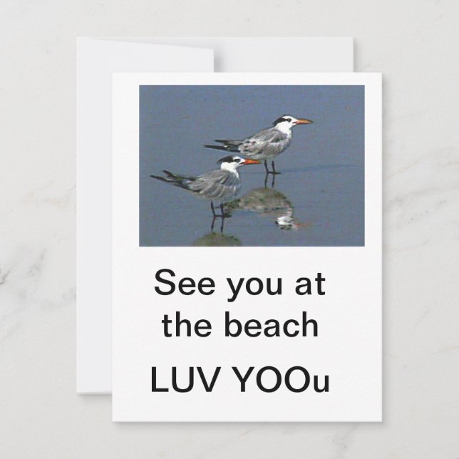 Tarjeta plana Nos vemos en la playa Gibney El Muse (Anverso)