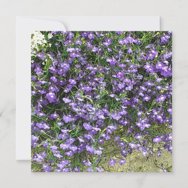 Tarjeta plana Purple Spring Flowers (Anverso)