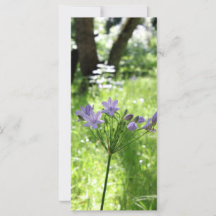 Tarjeta plana Purple Wilflower