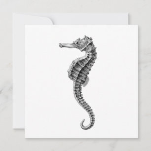 TARJETA PLANA SEAHORSE SEALIFE