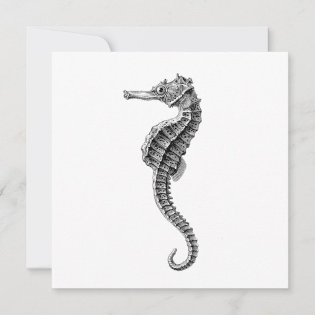 TARJETA PLANA SEAHORSE SEALIFE (Anverso)