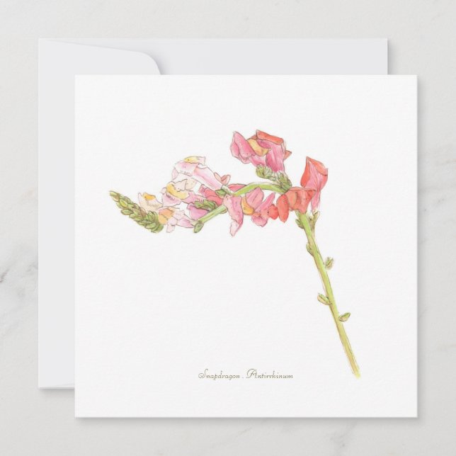 Tarjeta plana Snapdragon (Anverso)