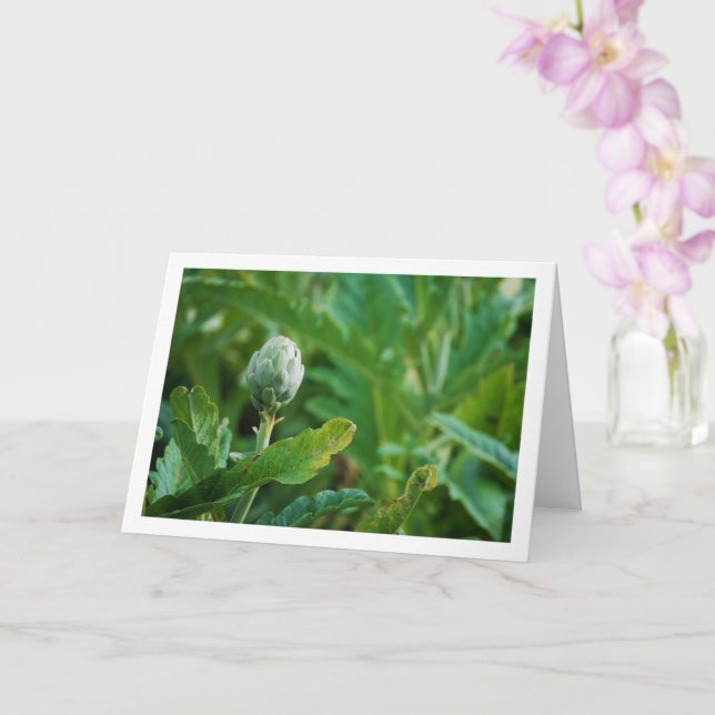Tarjeta Planta de Cardo Alcachofa (Orquídea)