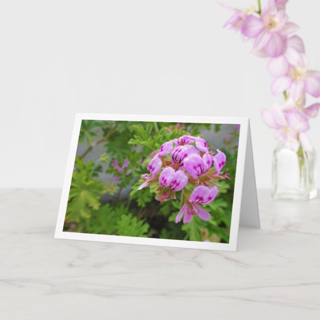 Tarjeta Planta de Citronella con Floral (Orquídea)