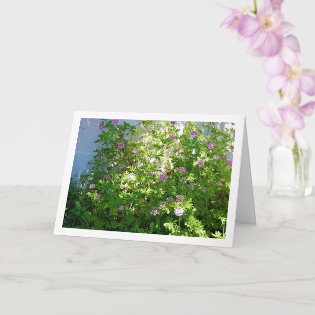 Tarjeta Planta de Citronella con Floral (Orquídea)