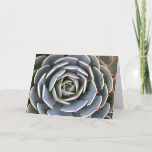 Tarjeta Planta de hielo