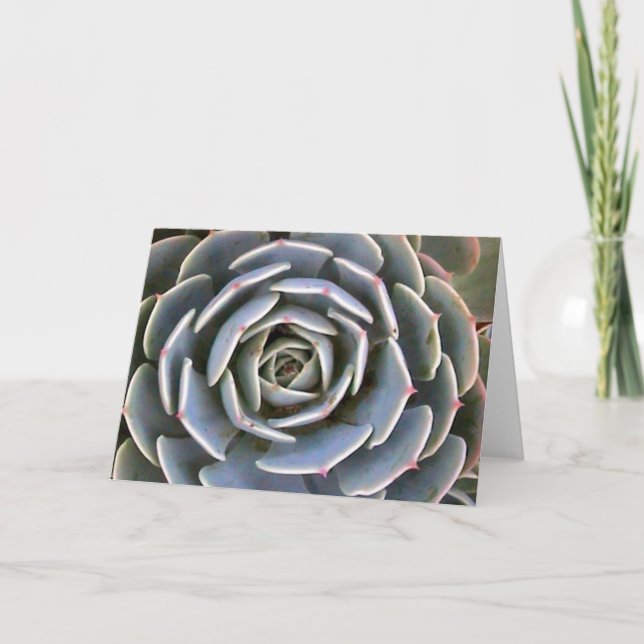 Tarjeta Planta de hielo (Anverso)