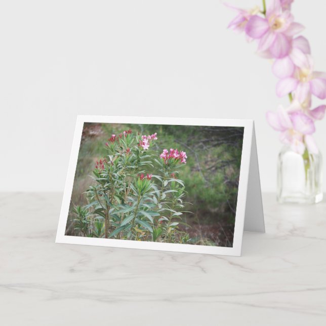 Tarjeta Planta de Nerium Oleander (Orquídea)