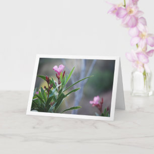 Tarjeta Planta de Nerium Oleander
