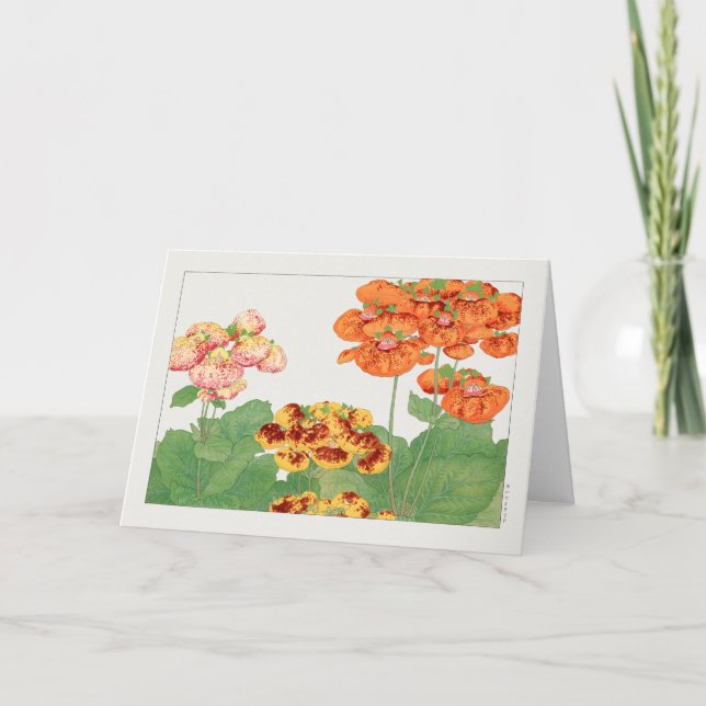 Tarjeta Planta de Pocketbook por Tanigami Konan (Anverso)