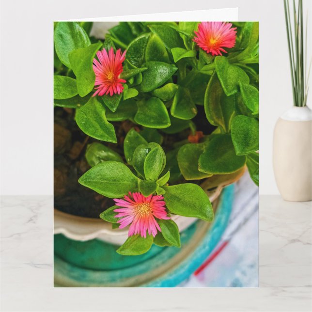 Tarjeta Planta De Rosa De Sol Nacido En Caca Saludo Doblad (Anverso)