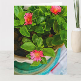 Tarjeta Planta De Rosa De Sol Nacido En Caca Saludo Doblad