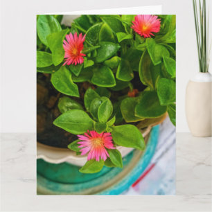 Tarjeta Planta De Rosa De Sol Nacido En Caca Saludo Doblad