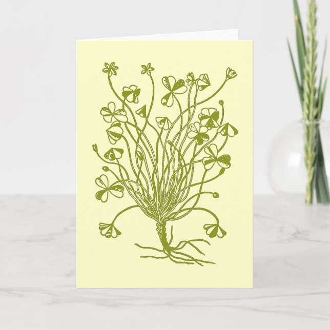 Tarjeta Planta del trébol (Anverso)