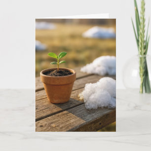 Tarjeta Planta en Maceta Pensando en Ti Con Montón de Niev