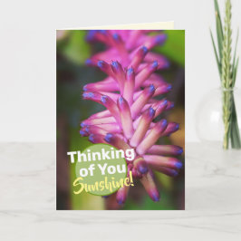 Tarjeta Planta Flor de Palito Rosa Púrpura Bonita