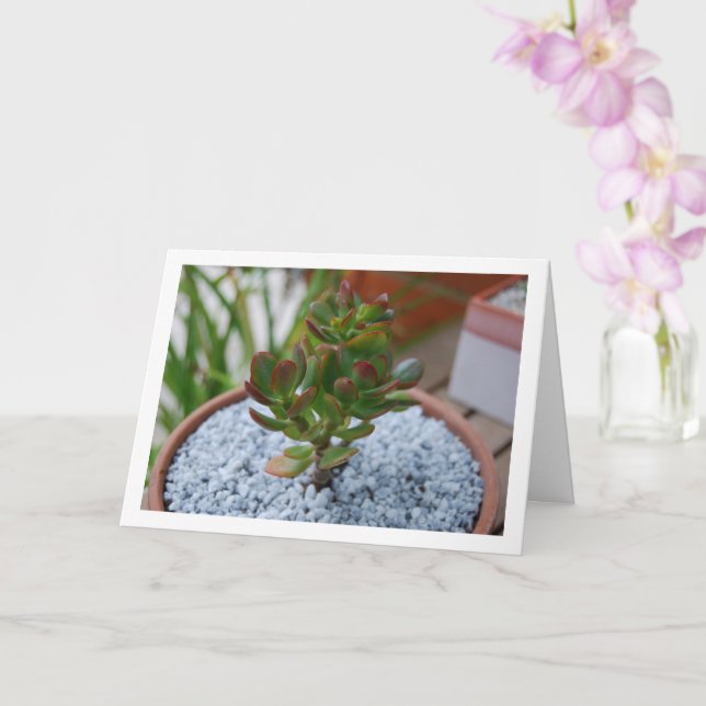 Tarjeta Planta Jade, planta exitosa de dinero afortunada (Orquídea)