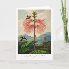 Tarjeta Planta Sensible de Floración Grande — Botánica Mod