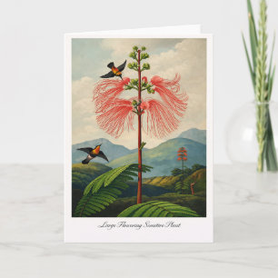 Tarjeta Planta Sensible de Floración Grande — Botánica Mod