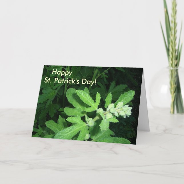 Tarjeta Planta verde del Día de San Patricio (Anverso)