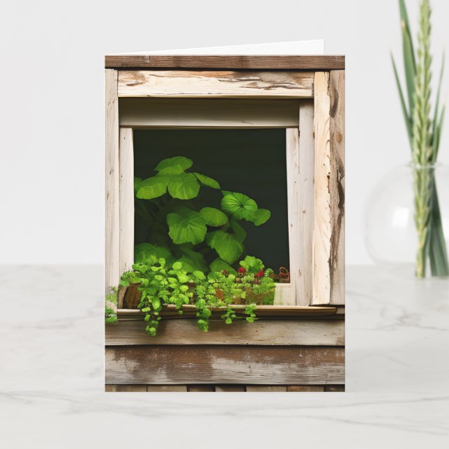 Tarjeta Plantas de bonito en la ventana rústica Cumpleaños (Anverso)