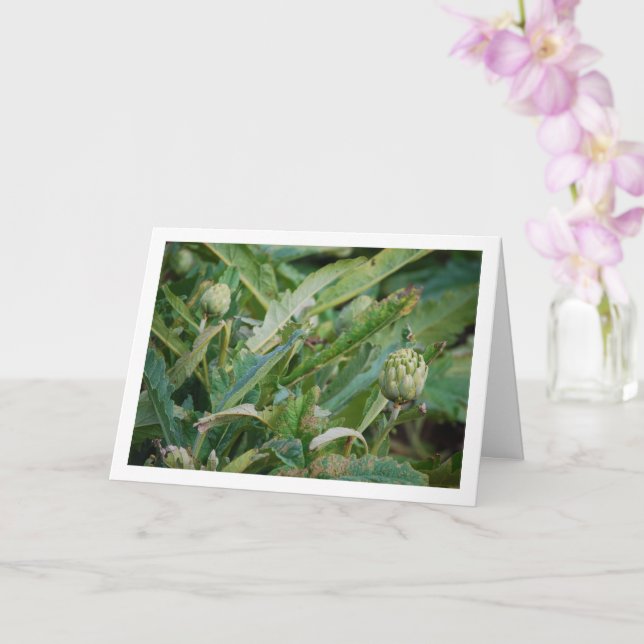 Tarjeta Plantas de hule de alcantarilla de globo (Orquídea)