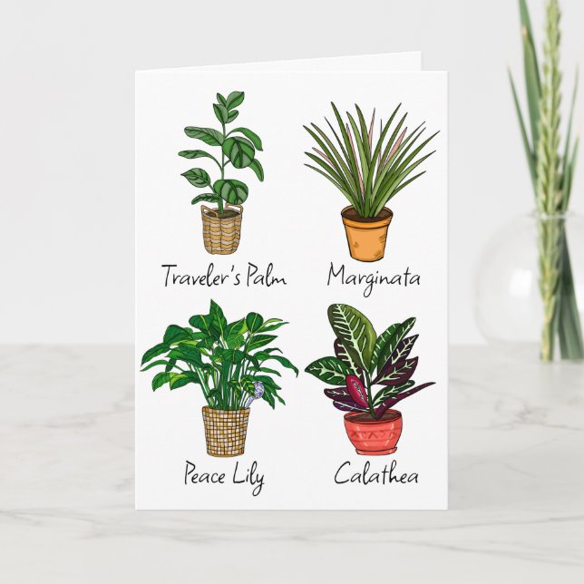 Tarjeta Plantas de la casa de dibujo a mano | Cumpleaños f (Anverso)