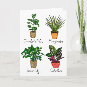 Tarjeta Plantas de la casa de dibujo a mano   Cumpleaños f